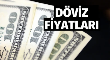 Serbest piyasada döviz fiyatları