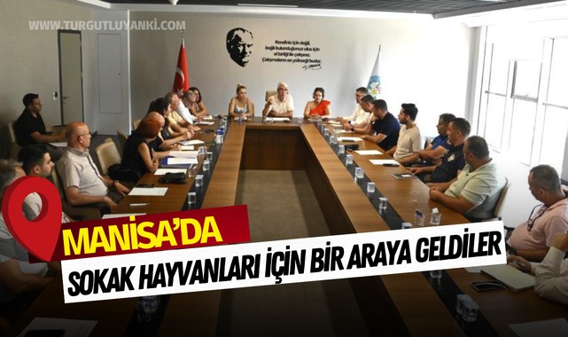 Sokak hayvanları için bir araya geldiler