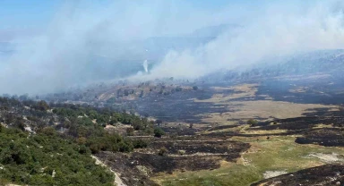 Soma'daki orman yangınında bir mahalle tahliye edildi