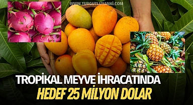 Tropikal meyve ihracatında hedef 25 milyon dolar