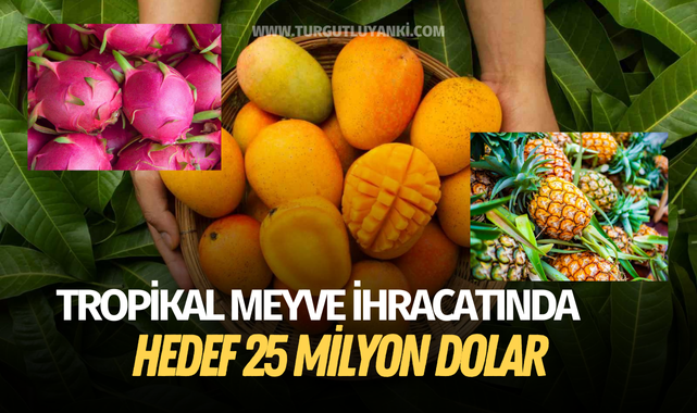 Tropikal meyve ihracatında hedef 25 milyon dolar