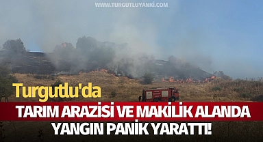 Turgutlu'da tarım arazisi ve makilik alanda yangın panik yarattı!