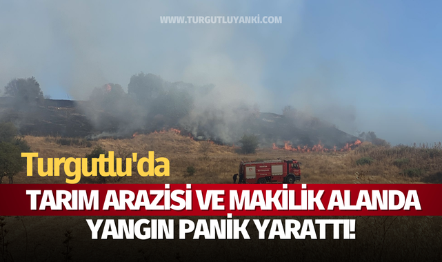 Turgutlu'da tarım arazisi ve makilik alanda yangın panik yarattı!