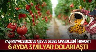 Yaş meyve sebze ve meyve sebze mamulleri ihracatı 6 ayda 3 milyar doları aştı