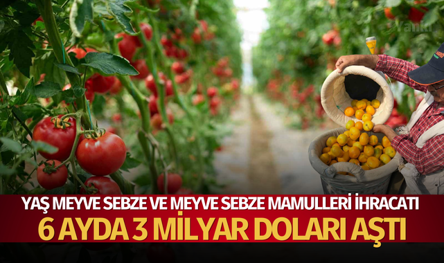 Yaş meyve sebze ve meyve sebze mamulleri ihracatı 6 ayda 3 milyar doları aştı