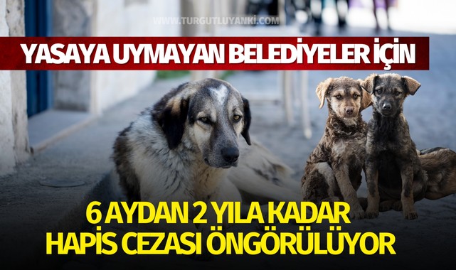 Yasaya uymayan belediyeler için 6 aydan 2 yıla kadar  hapis cezası öngörülüyor