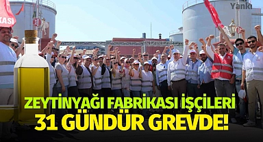 Zeytinyağı fabrikası işçileri 31 gündür grevde