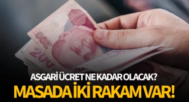 2025 yılında asgari ücret ne kadar olacak?