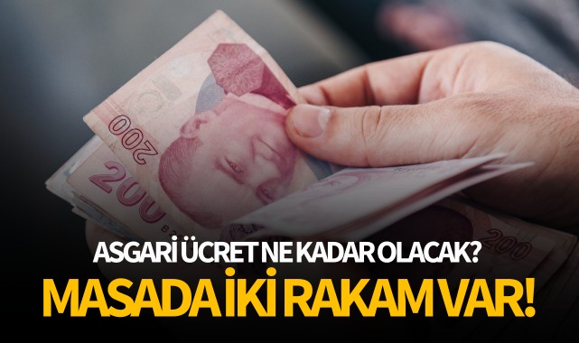 2025 yılında asgari ücret ne kadar olacak?