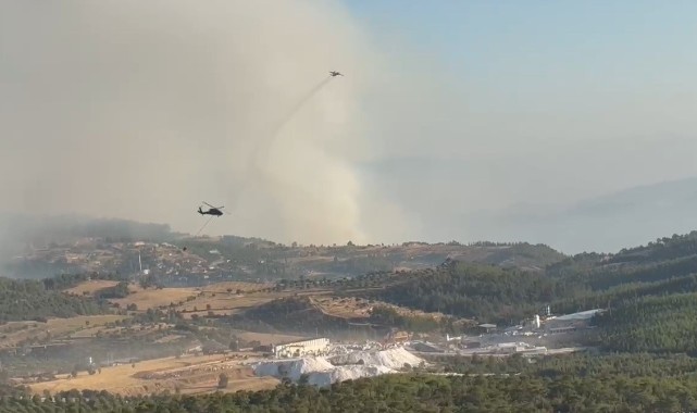 Aydın yangınına müdahale devam ediyor