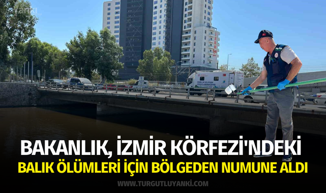 Bakanlık, İzmir Körfezi'ndeki balık ölümleri için bölgeden numune aldı