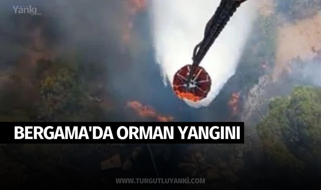 Bergama'da orman yangını