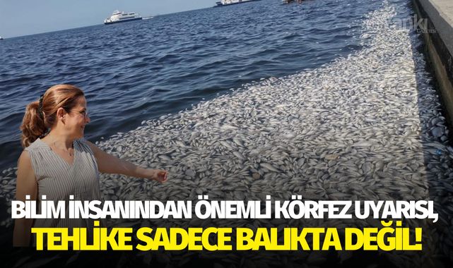 Bilim insanından önemli körfez uyarısı, tehlike sadece balıkta değil!