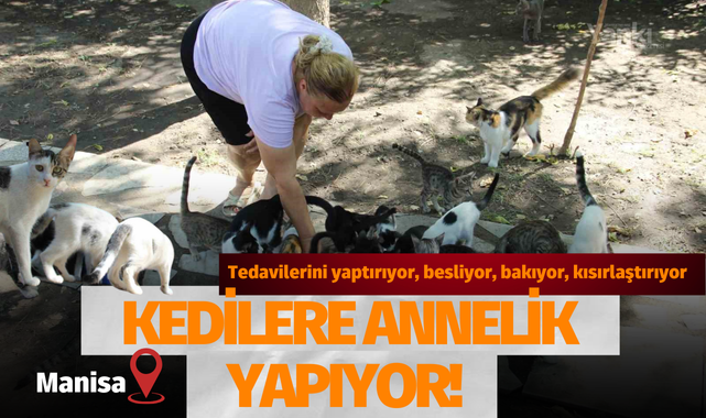 Kedilere annelik yapıyor