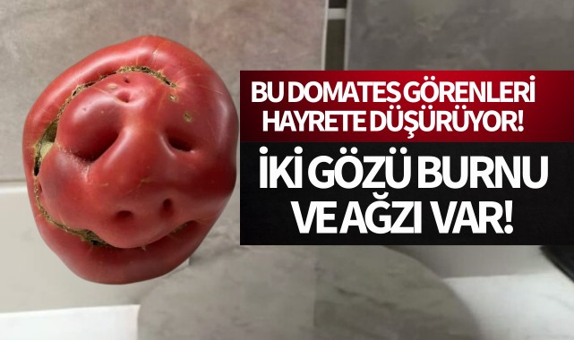 Bu domatesi görenler hayrete düştü!