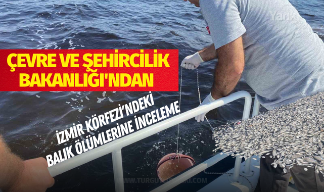 Çevre ve Şehircilik Bakanlığı'ndan İzmir Körfezi'ndeki balık ölümlerine inceleme