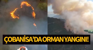 Çobanisa'da orman yangını!