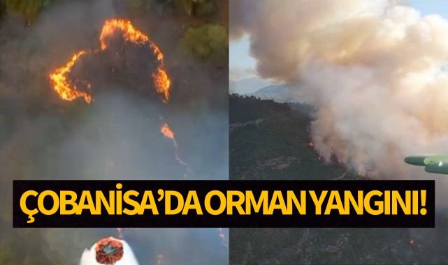 Çobanisa'da orman yangını!