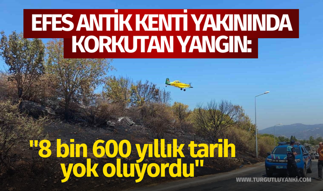 Efes Antik Kenti yakınında korkutan yangın: "8 bin 600 yıllık tarih yok oluyordu"