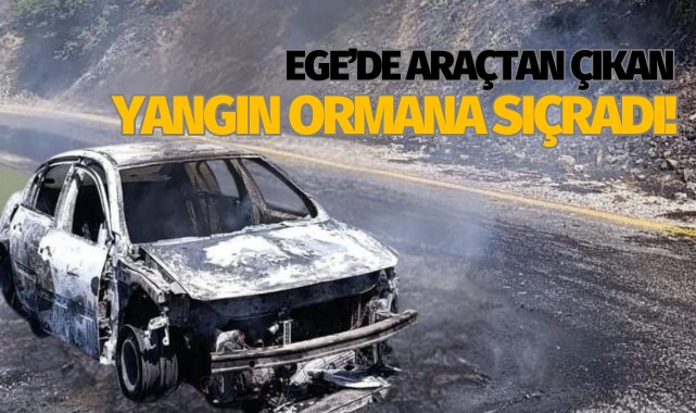 Ege'de araçtan çıkan yangın ormana sıçradı!