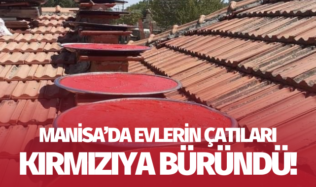 Evlerin çatıları kırmızıya büründü