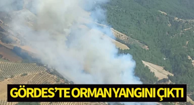 Gördes'te orman yangını!