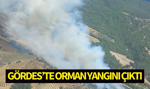 Gördes'te orman yangını!