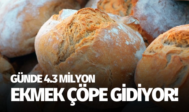 Günde 4.3 milyon ekmek çöpe gidiyor!