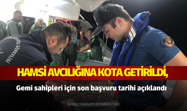 Hamsi avcılığına kota getirildi, gemi sahipleri için son başvuru tarihi açıklandı