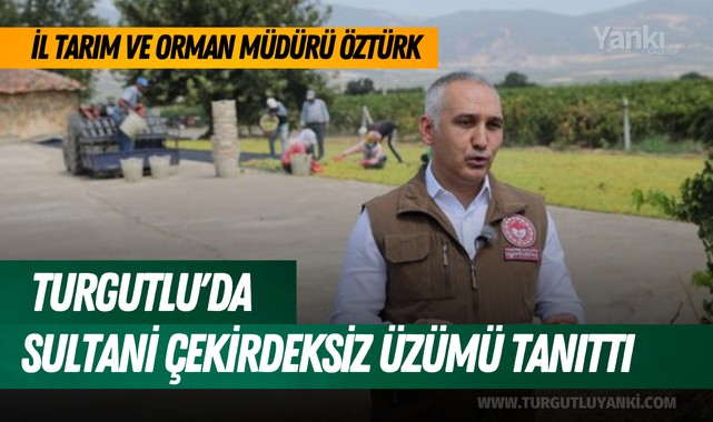 İl Tarım ve Orman Müdürü Öztürk Turgutlu'da Sultani Çekirdeksiz Üzümü tanıttı