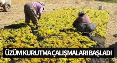 İlçede üzüm kurutma çalışmaları başladı