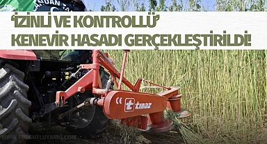 İzinli ve kontrollü kenevir hasadı gerçekleştirildi!