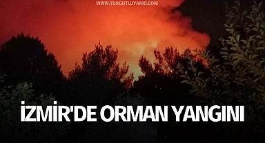 İzmir'de orman yangını