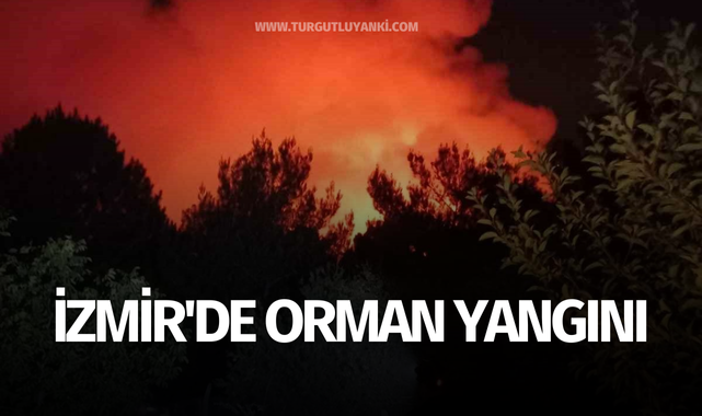 İzmir'de orman yangını