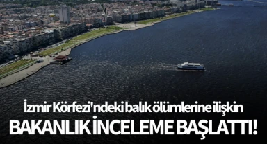 İzmir Körfezi'ndeki balık ölümlerine ilişkin inceleme