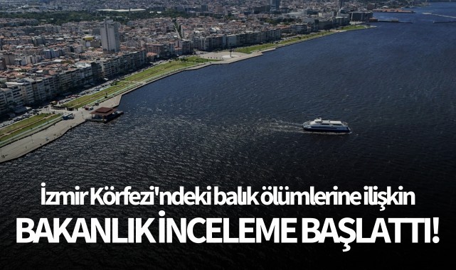 İzmir Körfezi'ndeki balık ölümlerine ilişkin inceleme