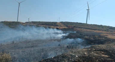 İzmir'de orman yangını