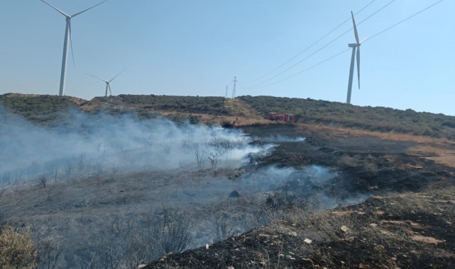 İzmir'de orman yangını