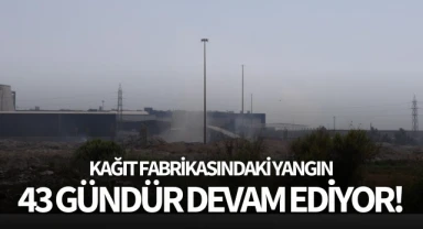 Kağıt Fabrikasındaki yangın 43 gündür devam ediyor