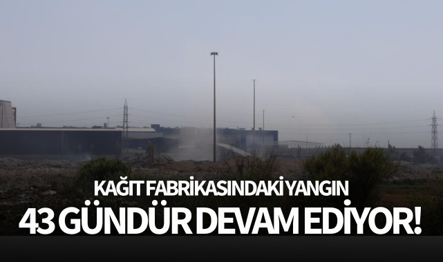 Kağıt Fabrikasındaki yangın 43 gündür devam ediyor