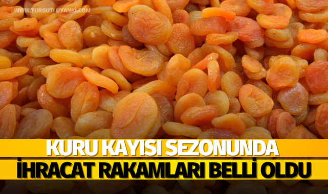 Kuru kayısı sezonunda ihracat rakamları belli oldu