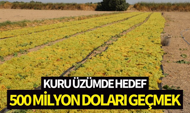 Kuru üzümde hedef 500 milyon doları geçmek