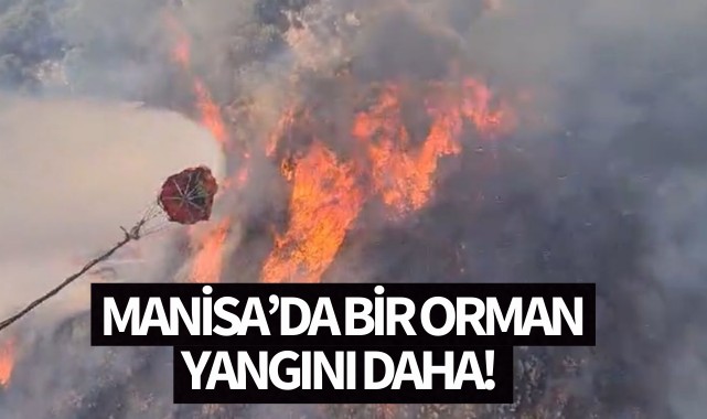 Manisa'da bir orman yangını daha!