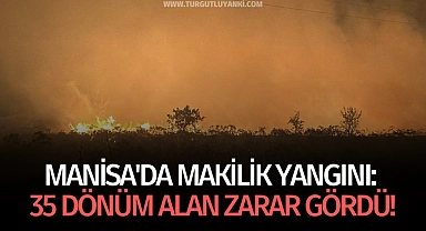 Manisa'da makilik yangını: 35 dönüm alan zarar gördü!