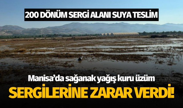 Manisa'da sağanak yağış kuru üzüm sergilerine zarar verdi!