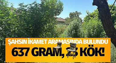 Manisa'da zehir tacirlerine geçit yok