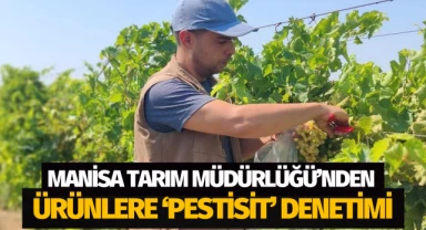 Manisa Tarım Müdürlüğü'nden Pestisit denetimi