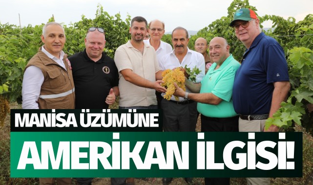 Manisa üzümüne Amerikan ilgisi!