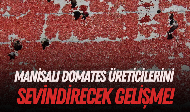 Manisalı domates üreticilerini sevindirecek gelişme