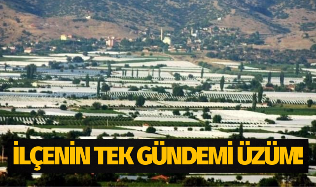 İlçenin tek gündemi üzüm!